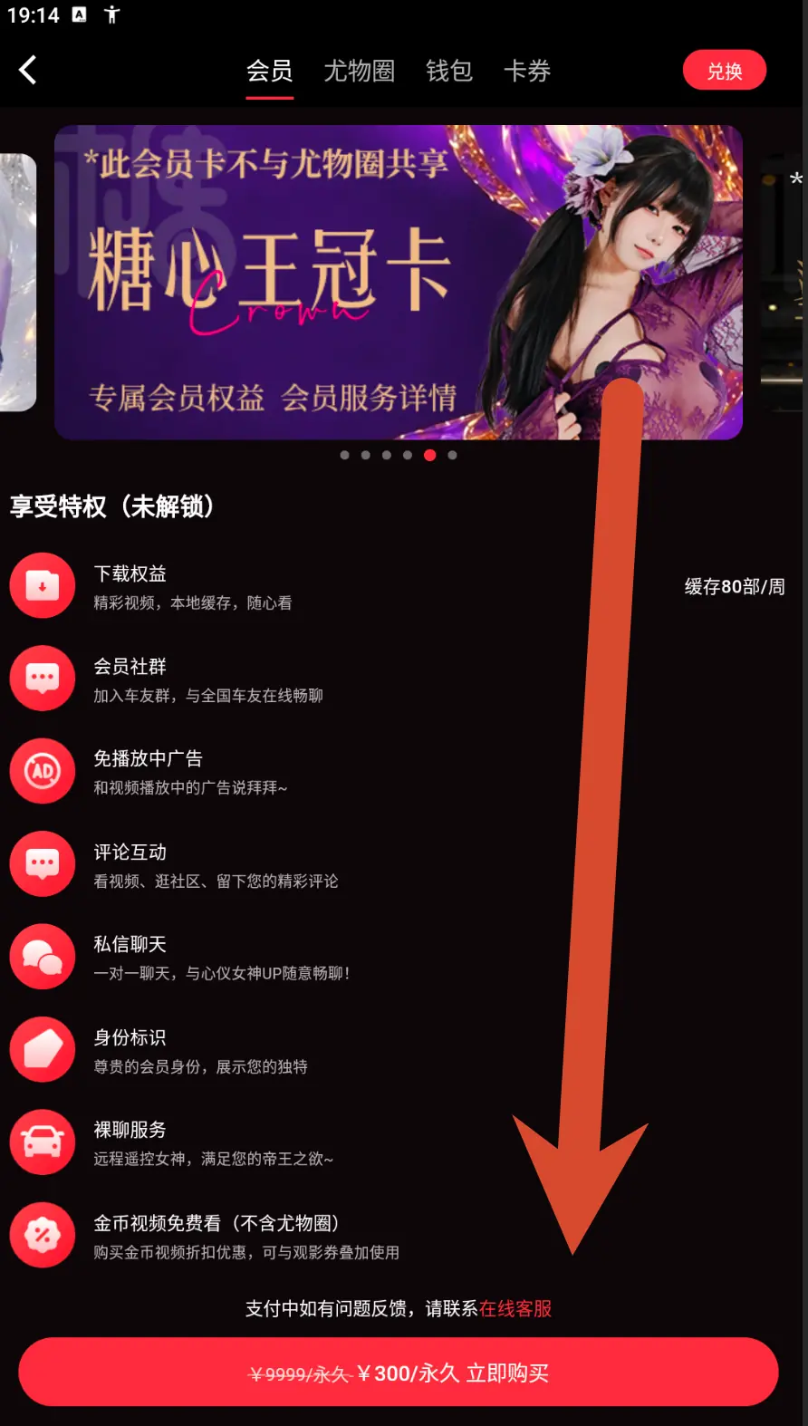 糖心银耀卡会员价格界面示例